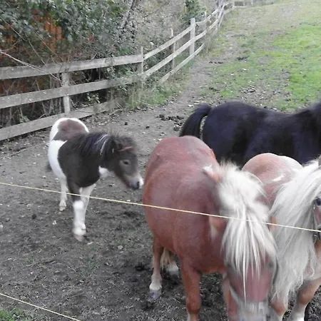 Unterhof Bed & Breakfast 3*