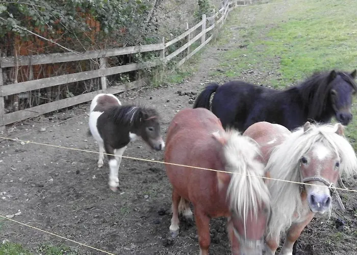 Unterhof Bed & Breakfast 3*